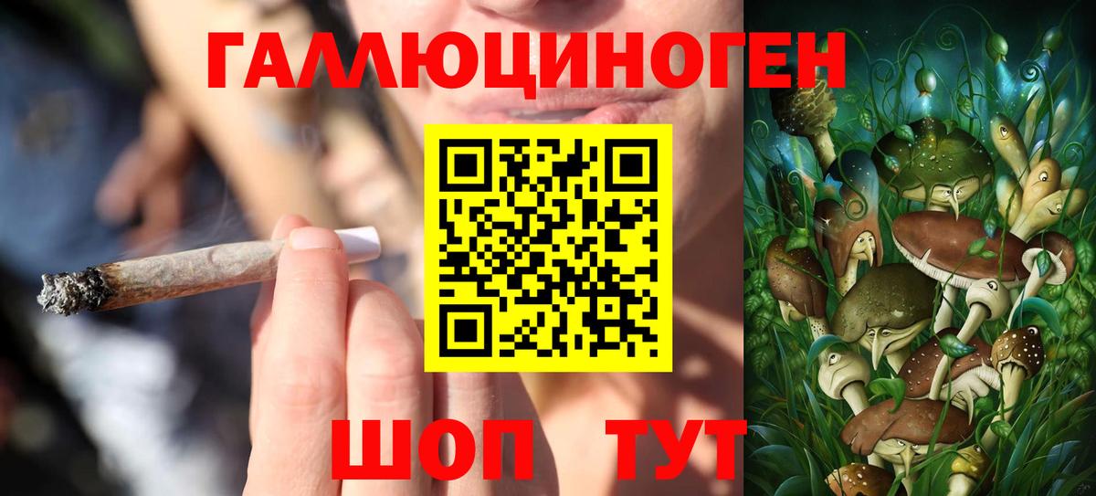 Псилоцибиновые грибы мухоморы  Галлюциногенные грибы Psilocybine cubensis  Усинск  Вход с VPN 