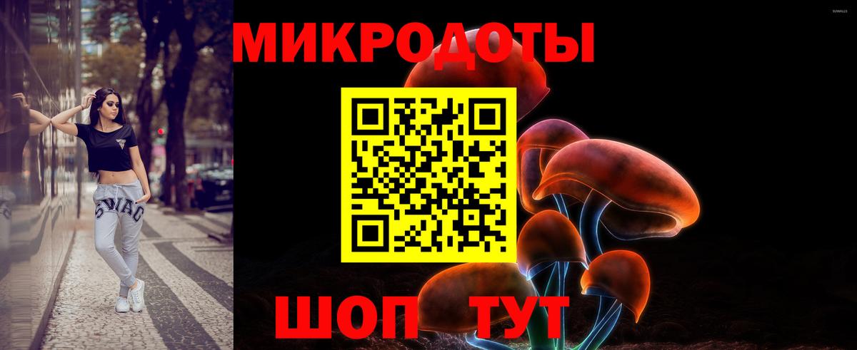 Псилоцибиновые грибы Psilocybine cubensis Усинск